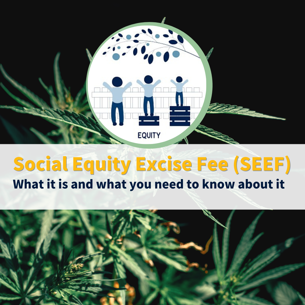 What is the Social Equity Excise Fee